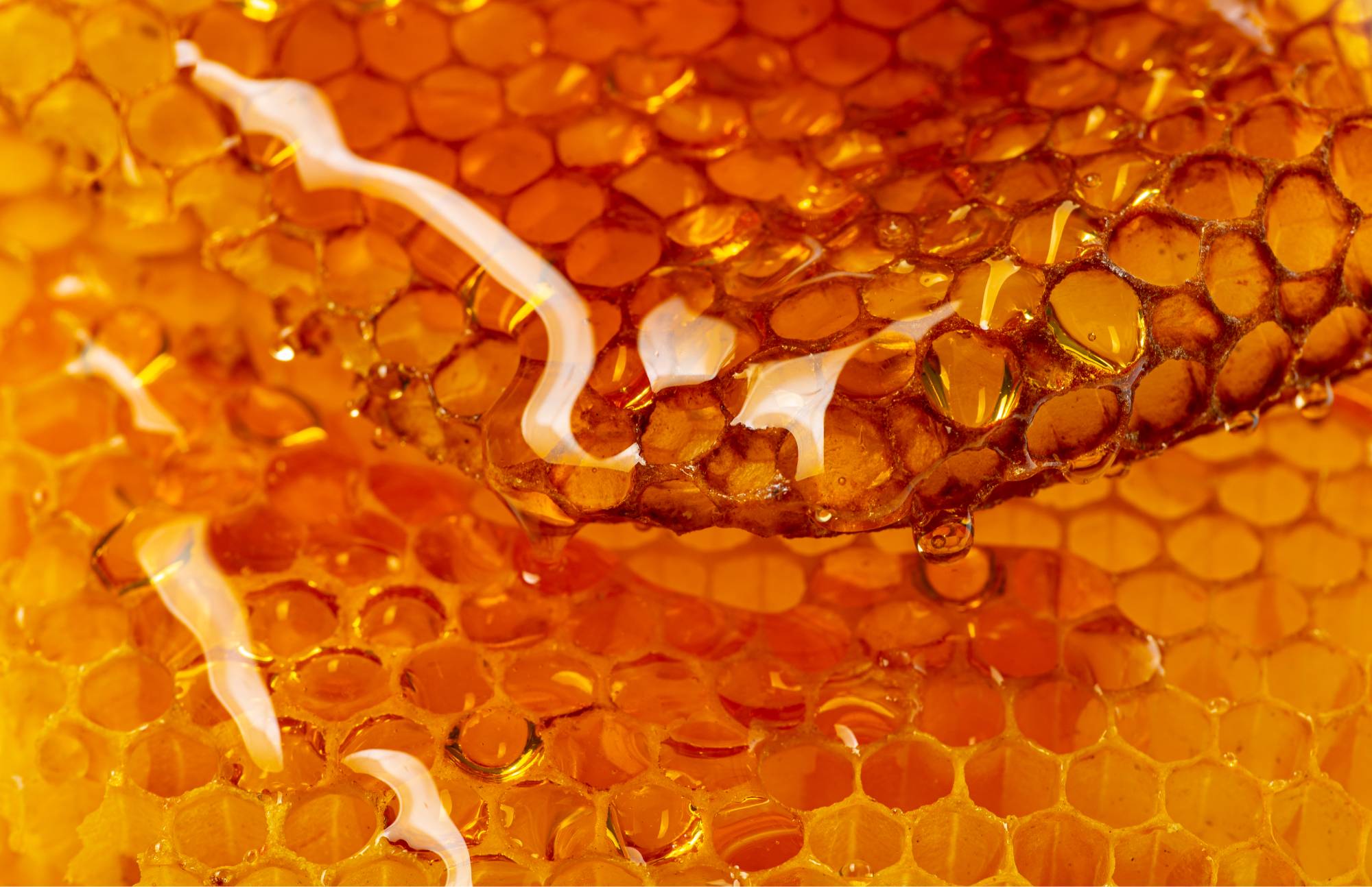Рецепты: медовик и херес cream