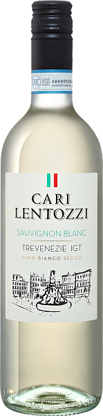 Cari Lentozzi Sauvignon Blanc Trevenezie IGT Villa degli Olmi, 0.75 л в Ярославле
